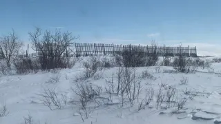 Аномальная жара нагрянет уже в декабре: синоптики рассказали о сюрпризах, которые подготовила россиянам зима 2024