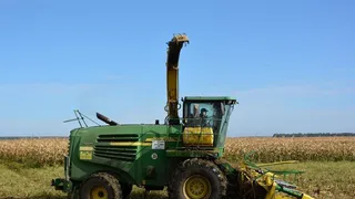 В сельском хозяйстве Рязанской области есть около 1000 вакансий