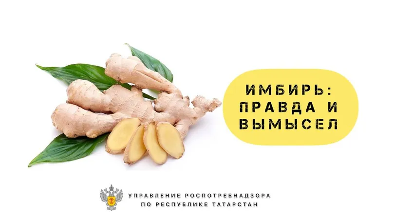 Имбирь: правда и вымысел
