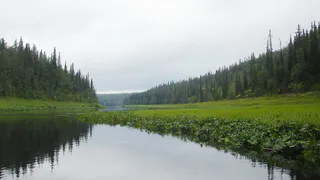 Экологическое оздоровление водных объектов Коми
