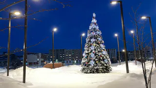 Жители Коми подводят итоги года: от доходов до здоровья