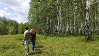 В Рязанской области назвали самые боррелиозные места