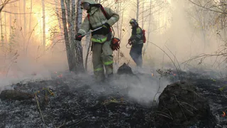 Жаркий день: в субботу пожарные выезжали на ликвидацию возгораний 59 раз