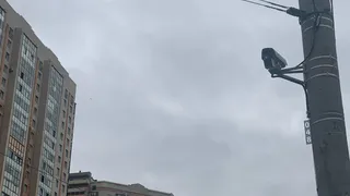 19 ноября в Рязанской области ожидается порывистый ветер и до +5