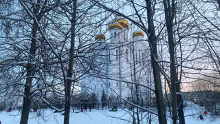 Легкий мороз и без снега: синоптики подготовили прогноз погоды в Коми на 22 февраля