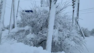 В субботу мороз в Рязанской области может дойти до -30