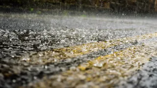 Жителей Брянской области 5 октября ожидает температура до +12 градусов