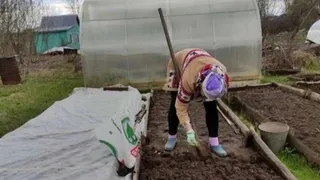 Это популярное растение запретили выращивать: новое правило для россиян