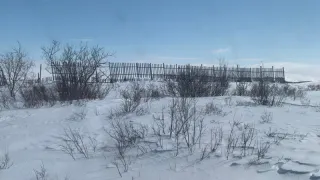 Зима в России отменяется: синоптик Роман Вильфанд поделился точным прогнозом, будет ли снег на Новый год