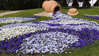 Цветы в городе: мэрия предлагает рязанцам выбрать лучшие клумбы