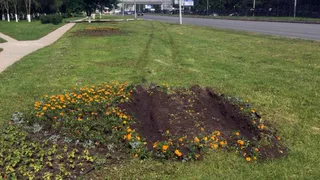 Правоохранители уже в курсе: на Московском шоссе неизвестный раскатал газон