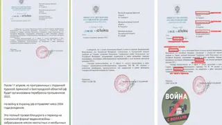 Брянские призывники не будут участвовать в спецоперации на Украине