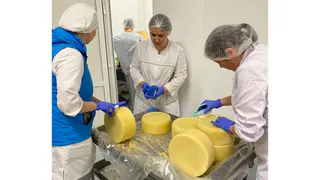 В Рязанской области открылся завод по производству сыры