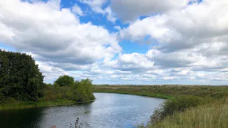 Нашли в реке: в Сасовском районе погиб 47-летний мужчина