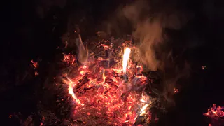 Раскрыто убийство 26-летнего рязанца, сожженного в мусорной яме