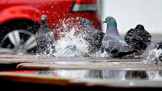 Прогноз синоптиков: какую погоду ждать в Рязани до конца рабочей недели