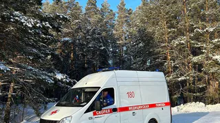 В Нижнекамске за неделю за симптомы респираторных заболеваний медикам пожаловались 279 человек