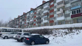 Аномальная зима породит невыносимое лето: синоптики объяснили, к чему стоит готовиться в 2025 году