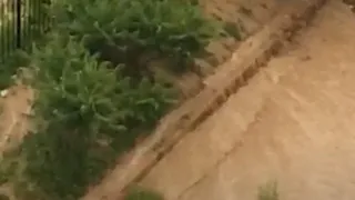 Из-за стройки дворца единоборств близлежащие дворы залило грязью