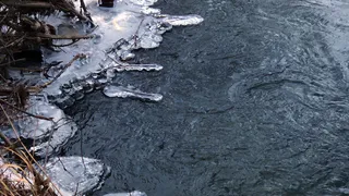 Пока что без снега: в ночь на четверг в Рязани похолодает до -14 градусов