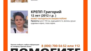 В Уральском лесу пропали дети из Тюмени: их ищут более 500 человек