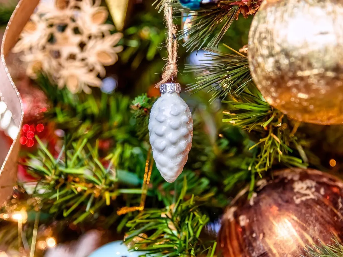 Названы все адреса елочных базаров в Магнитогорске: где купить новогоднюю елку в 2024 году