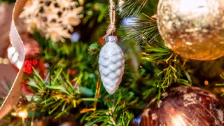 Названы все адреса елочных базаров в Магнитогорске: где купить новогоднюю елку в 2024 году