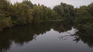 На рязанском озере нашли утонувшего мужчину