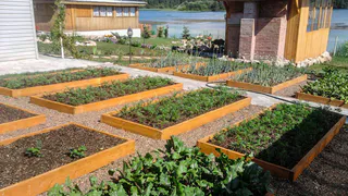 В России полностью исчезнут дачи