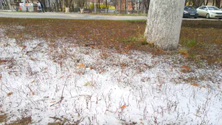 Полный прогноз погоды на неделю в Рязани