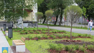 В Сыктывкаре озеленяют сквер у Дворца творчества