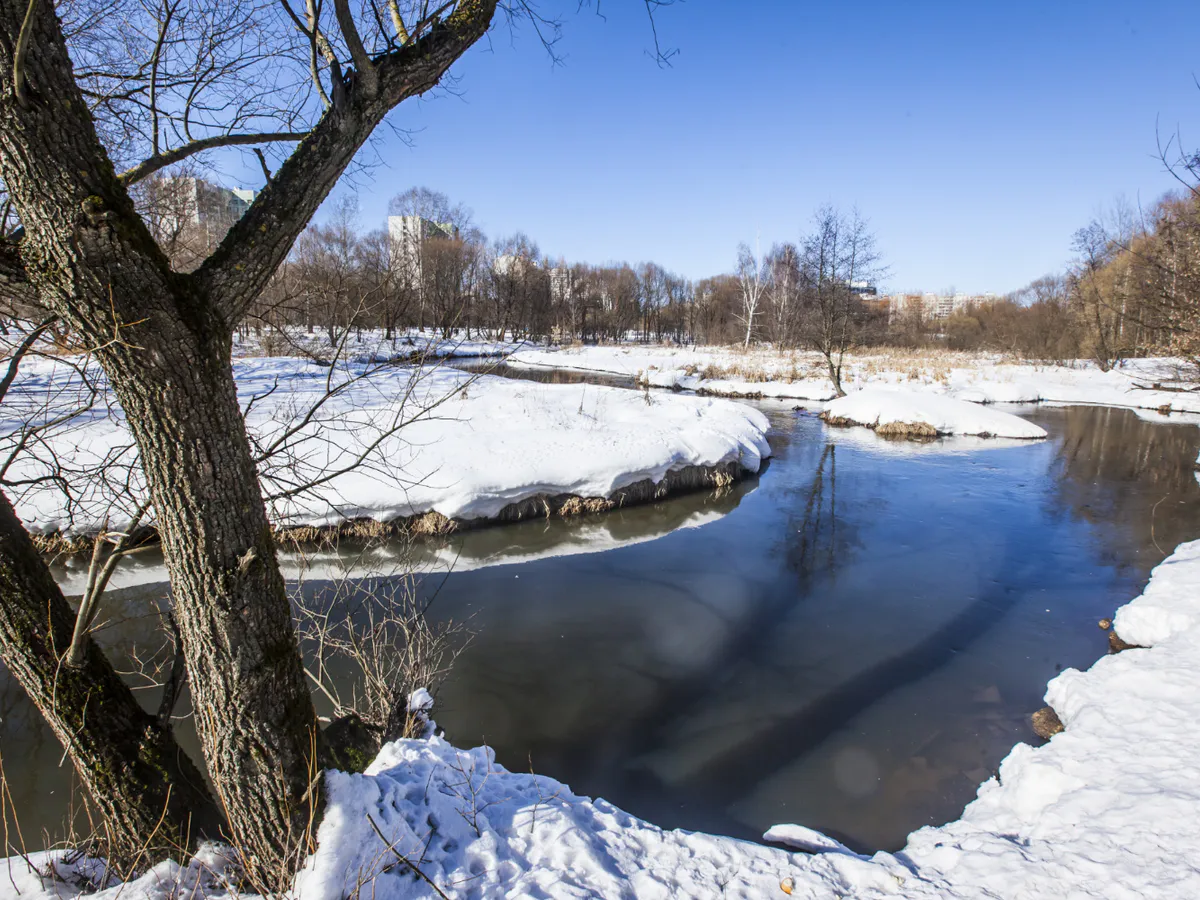 В Пензе полиция ловит загрязнителей Целибухи
