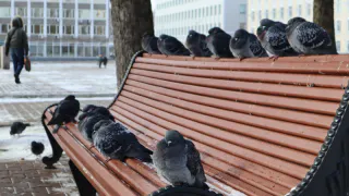 Аномальная жара нагрянет в январе: синоптики рассказали о неожиданностях, которые приготовила россиянам зима