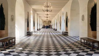 Нацгалерея Коми подготовит подарок для детей из ЛНР