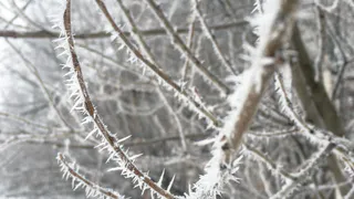 4 ноября Челябинскую область ждут ночные заморозки