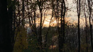 Февральская активность Солнца встревожила пензенцев