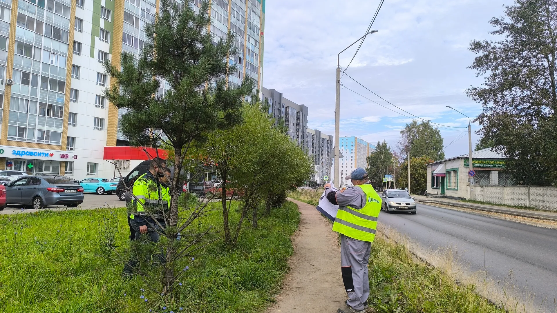 В Сыктывкаре благоустраивают Тентюковскую с сохранением зелёных насаждений