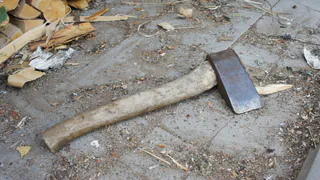 Москвич может сесть на 7 лет за вырубку леса в Рязанской области