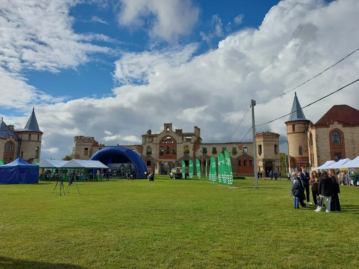 В Судогодском районе отмечают День леса