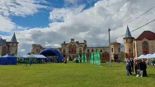 В Судогодском районе отмечают День леса