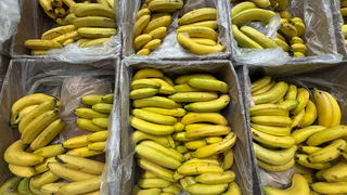 «Кожуру больше не выбрасываю»: вот как кожура банана может быть полезна – заменила половину аптечки