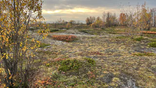 Погода в Челябинской области преподнесет сюрприз аномальным потеплением