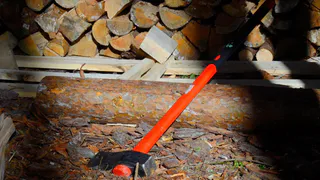 В Коми пенсионер незаконно вырубил 15 деревьев