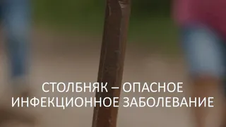 Столбняк: чем опасна «ржавая» рана и почему нужна ревакцинация каждые 10 лет