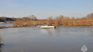 В Рязанской области уровень воды в Оке аномально поднялся на 10 см за сутки 