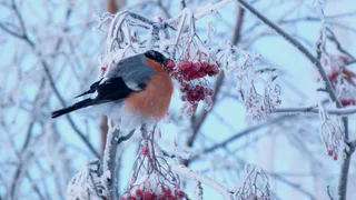 Прогноз погоды: рязанцев предупреждают о резком похолодании