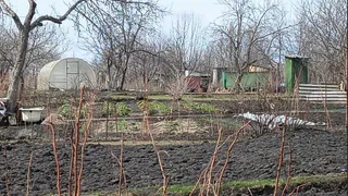 Слизни обойдут огород стороной: найден эффективный метод борьбы — опытные дачники делают так уже в феврале