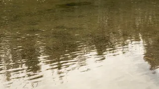 Вода в реках Челябинской области спадает, но расслабляться рано: возможны новые колебания уровня