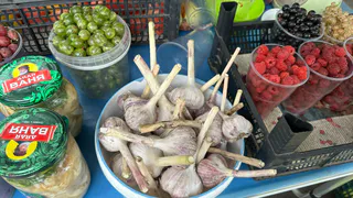 Сажаю 300 зубков чеснока за 35 минут с помощью "инструмента", который есть у всех: соседи удивляются ровным рядам и скорости