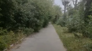 Городские джунгли: рязанец пожаловался на заросший тротуар возле ОКБ